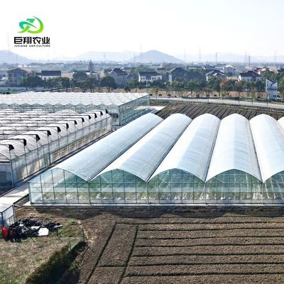 맞춤형 요청 생산을 위한 농업용 멀티 스펜 플라스틱 터널 필름 온실