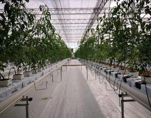 필름 온실 수식 시스템 패키지 총 무게 2000.000kg 사용자 지정 요청