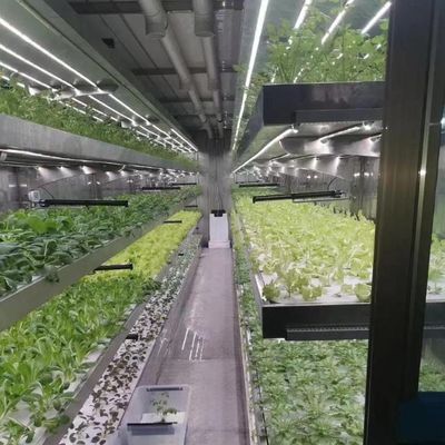 필름 온실 수식 시스템 패키지 총 무게 2000.000kg 사용자 지정 요청