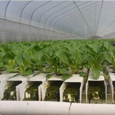 필름 온실 수식 시스템 패키지 총 무게 2000.000kg 사용자 지정 요청