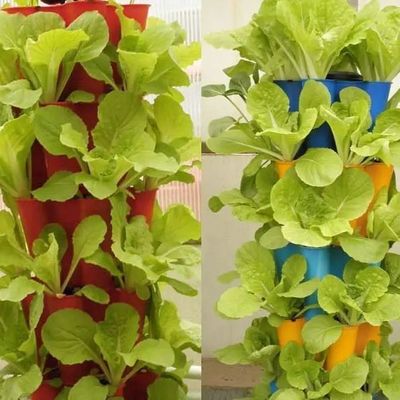 필름 온실 수식 시스템 패키지 총 무게 2000.000kg 사용자 지정 요청