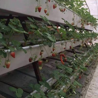 6/9.6/12미터 재배 방법 주시안 필름 온실용 수식 시스템 쉬운