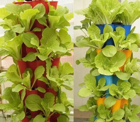 수식 시스템 기후 조절 필름 온실