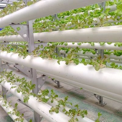 9.6m 필름 온실, 토양 없는 재배에서 최대수확과 초기 지불