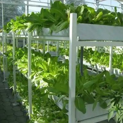 9.6m 필름 온실, 토양 없는 재배에서 최대수확과 초기 지불