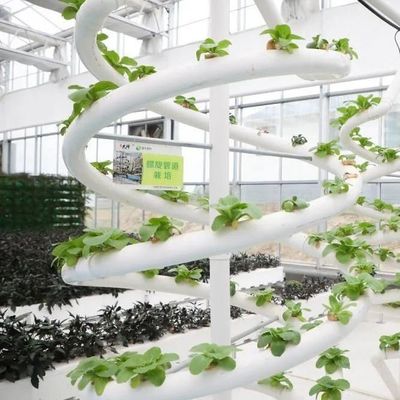 9.6m 필름 온실, 토양 없는 재배에서 최대수확과 초기 지불