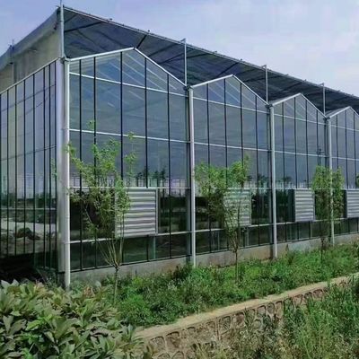 좋은 빛 전달 유리 온실 수식품 100.000kg 패키지 총 무게