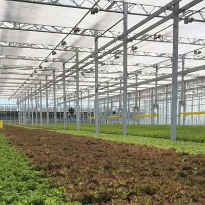 맞춤형 및 100,000kg 패키지 총 무게와 함께 온실 수식 시스템