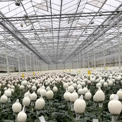 맞춤형 및 100,000kg 패키지 총 무게와 함께 온실 수식 시스템