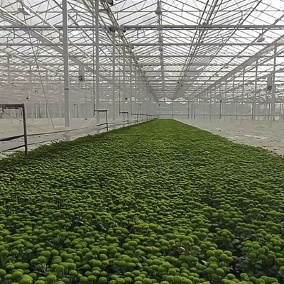맞춤형 및 100,000kg 패키지 총 무게와 함께 온실 수식 시스템