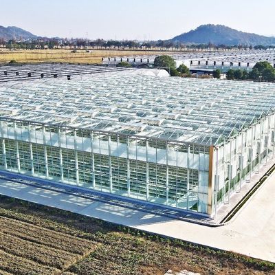 토마토와 잎을 재배하기 위한 유리 녹지 JX-글라스 스판 8m 9.6m 12m 사용자 정의