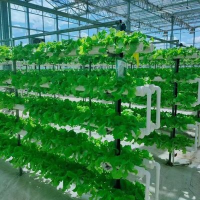 관개 및 우수한 고객 서비스와 함께 진료 철강 튜브 유리 온실