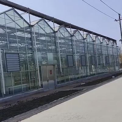자동 제어 시스템과 함께 대형 및 Venlo 스타일 유리 농업 온실