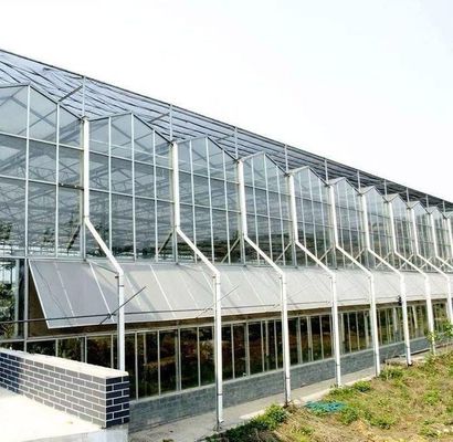 수식 재배 방법 상업용 난방 정원 유리 온실 식물