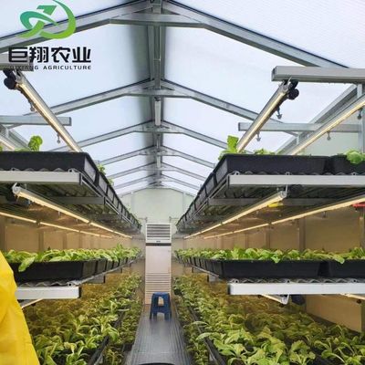 맞춤형 JX-글라스 온실 2023 냉각 시스템과 함께 Juxiang 농업 장비