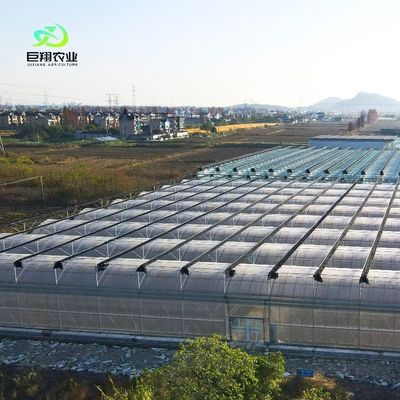 수식 토마토/구구/추리/스트로베리용 맞춤형 멀티 스펜 필름 온실