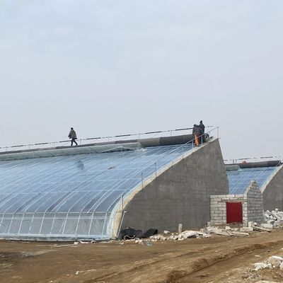 연속 난방 톱 치아 지붕 PE/Pep 필름 온실 0.2mm 필름 두께