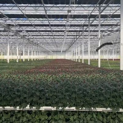 중국 원산의 꽃을 위한 유리 온실 천장 30일 반품 총 무게 100.000kg