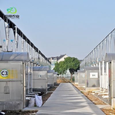 8m 9.6m 12m 맞춤형 스판 필름 수식 시스템으로 플라스틱 농업