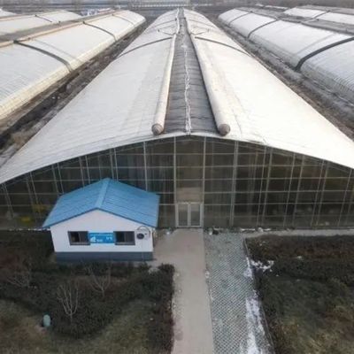 히드로폰 시스템 및 다양한 작물을 위한 다단계 온실