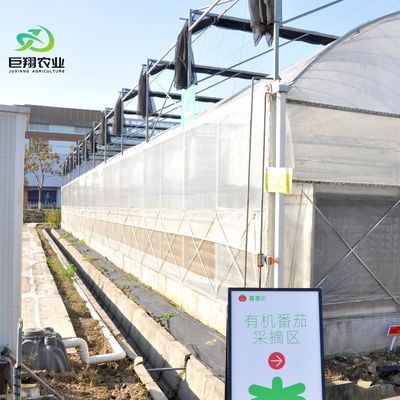아치형 지붕 멀티스판 수식물 플라스틱 필름 상업 농장용 농업 온실