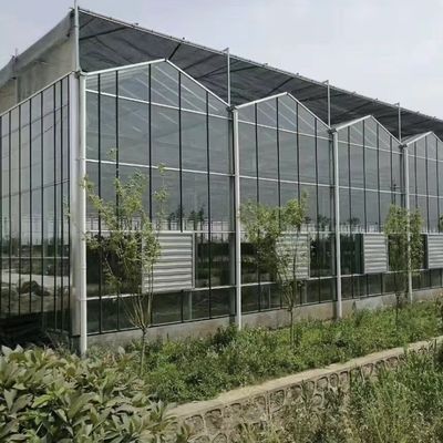 좋은 빛 전달과 멀티 스판 기능으로 겹겹 온실 지붕
