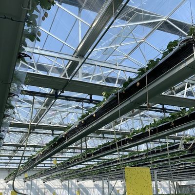 쉐이딩 스크린과 함께 듀플 레이어 수식 유리 온실 무게 100.000kg 패키지