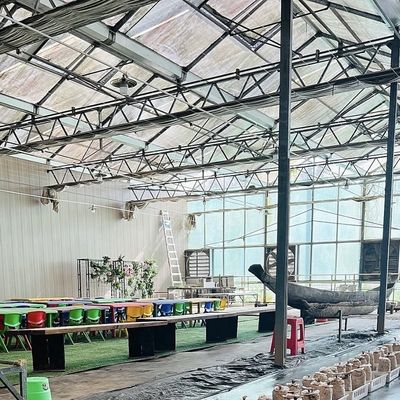 대형 온실 수식 시스템 및 성능 패키지 총 무게 100.000kg