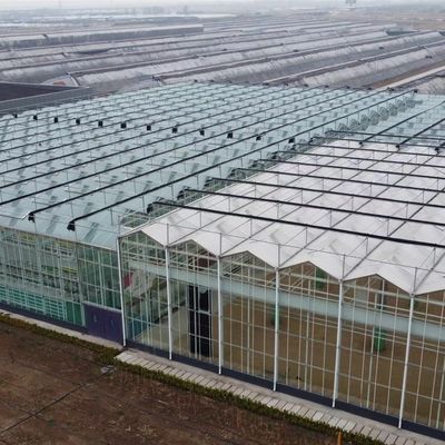 대형 온실 수식 시스템 및 성능 패키지 총 무게 100.000kg