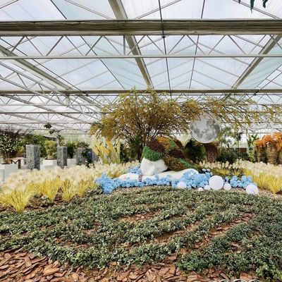 100.000kg 패키지 총중량 꽃 재배용 유리 온실