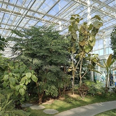 꽃 재배를 위한 유리 온실 패키지 총 무게 100.000kg