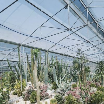 80.000kg 패키지 총중량 물방울 관개 유리 온실 채소