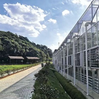 채소용 플로트 글래스 온실 다단계 설계 맞춤형 요청 받아