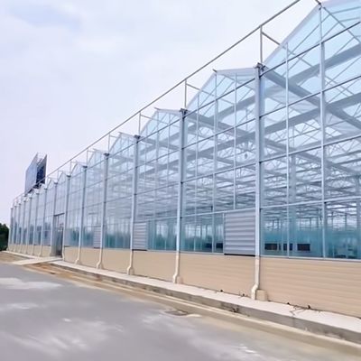 최대 작물 재배를 위한 대형 그림자 스크린 유리 온실 수식 시스템