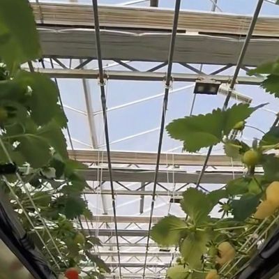 유리 온실 수식 채소 설치 운송 비용 및 예상 배송 시간