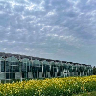수소식 채소 설치와 함께 깔끔한 유리 온실 농사 효율성을 높여주십시오