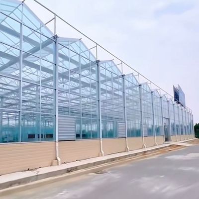 중국 원산의 유리 온실과 수식 채소 패키지 총 무게 80.000kg