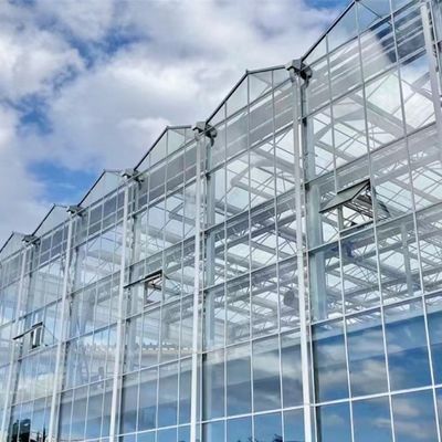 80.000kg 총중량 두층 유리 온실 채소 재배용 수식물