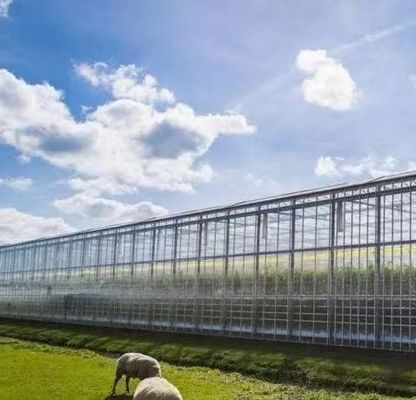 시그라드 스크린 시스템 패키지 총 무게 80.000kg