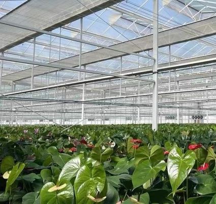 시그라드 스크린 시스템 패키지 총 무게 80.000kg