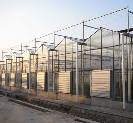 시그라드 스크린 시스템 패키지 총 무게 80.000kg