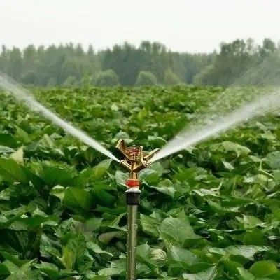 시그라드 스크린 시스템 패키지 총 무게 80.000kg