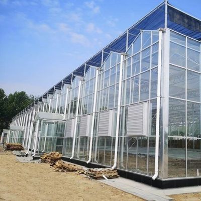 수식 채소 재배용 유리 온실 전체 무게 80.000kg