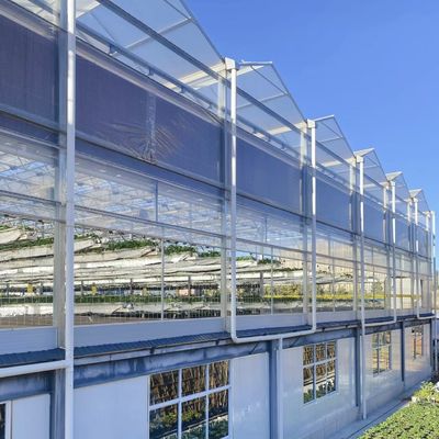 수식 채소 재배용 유리 온실 전체 무게 80.000kg