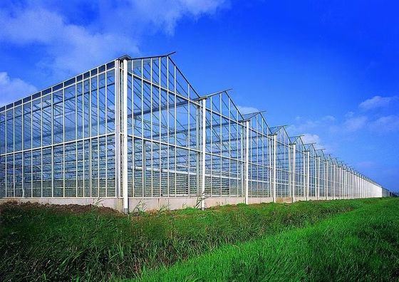 80.000kg 패키지 총중량 수식 및 운송 비용과 함께 유리 온실