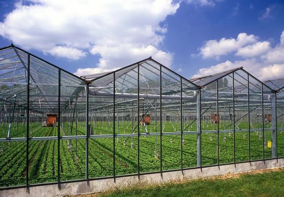 80.000kg 패키지 총중량 수식 및 운송 비용과 함께 유리 온실