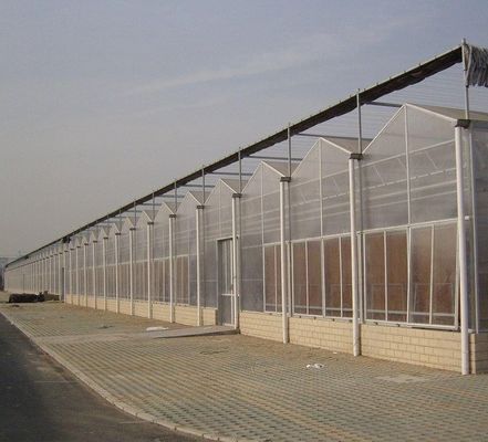 폴리카보네이트 엽 온실 US 및 농장 장비와 함께 온실 Rdgu0808h-10mm