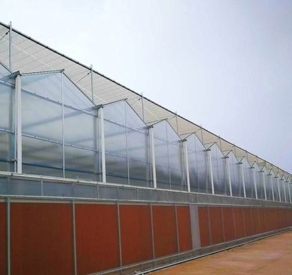 폴리카보네이트 엽 온실 US 및 농장 장비와 함께 온실 Rdgu0808h-10mm
